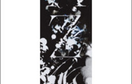 aerosynlexmestrovic_alphaetzeta-191x300-cropped.jpg